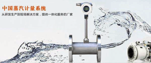 蒸汽流量計及蒸汽計量系統(tǒng) 蒸汽流量計及蒸汽計量系統(tǒng)