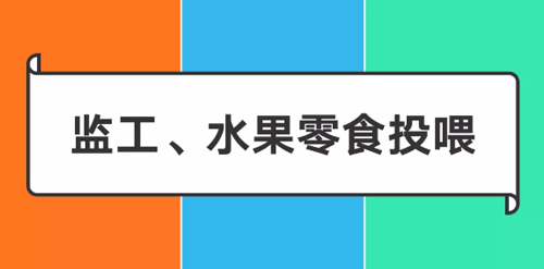 阿里/騰訊/字節(jié)跳動爸媽做什么 阿里/騰訊/字節(jié)跳動爸媽做什么