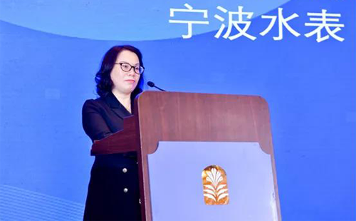 中國儀器儀表行業(yè)協(xié)會(huì)副理事長、寧波水表(集團(tuán))股份有限公司董事長 張琳