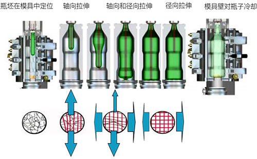 PET瓶的吹制過(guò)程中的機(jī)械拉伸動(dòng)作分解 PET瓶的吹制過(guò)程中的機(jī)械拉伸動(dòng)作分解