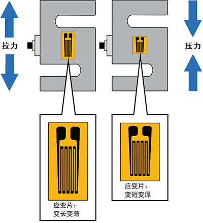 稱重傳感器內(nèi)部結(jié)構(gòu) 稱重傳感器內(nèi)部結(jié)構(gòu)